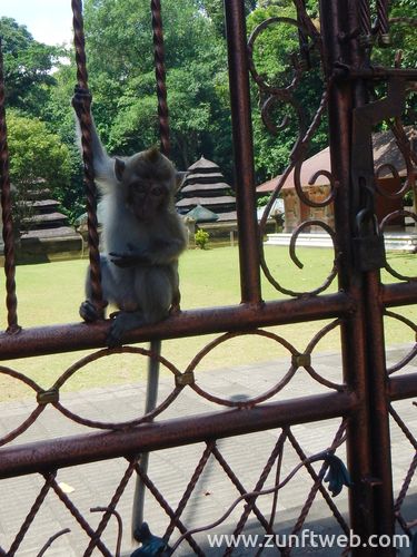 dscn1656_monkey_forest_bali