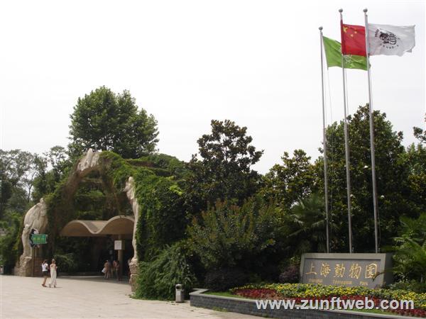 DSC04730-shanghai-zoo