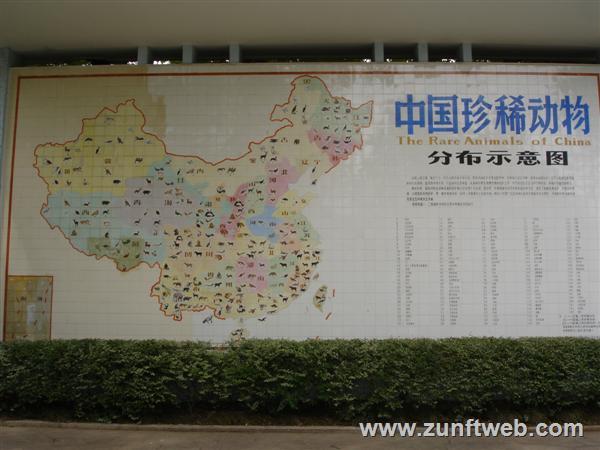 DSC04743-karte-shanghai-zoo