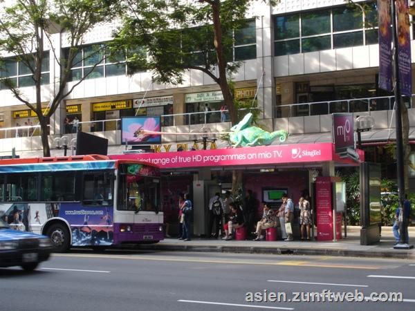 DSC08099_Singapore_Bus_stop