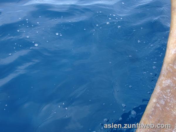 DSC08766_Blaues_Meer_Sumatra_Indonesien