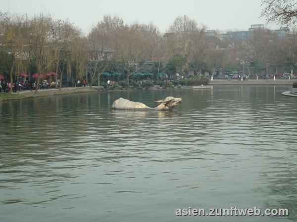 dsc00152_ochse_hangzhou