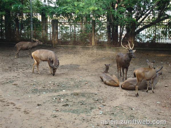 dsc00661_ho_chi_minh_zoo