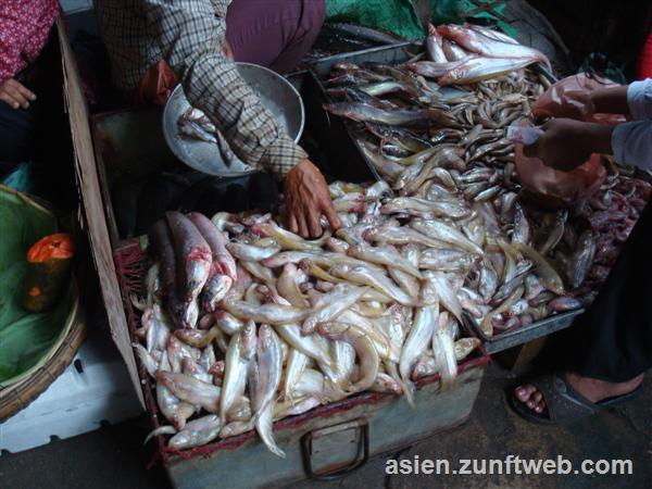 dsc01130_fischmarkt