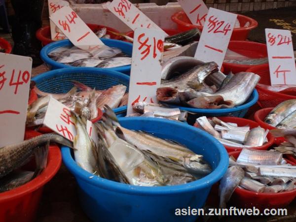 dsc09336_fischmarkt_hong_kong