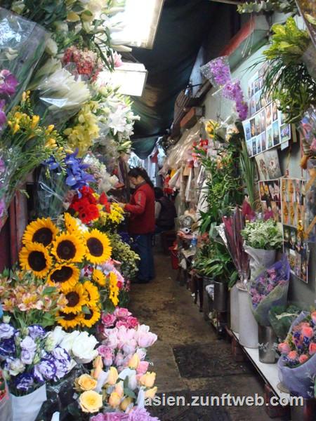 dsc09595_blumen_china