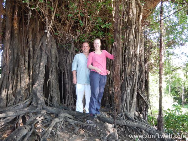 dscn1173_riesen-baum_lombok